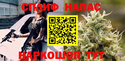 стаф Донской