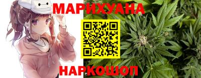 стаф Донской