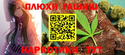 стаф Донской